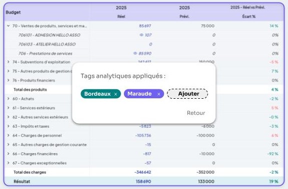 Écran Budgetic utilisant des tags analytiques sur un budget